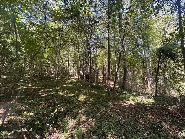 $54,200 | 153 Pineway Lane, Thurmond, NC 28683