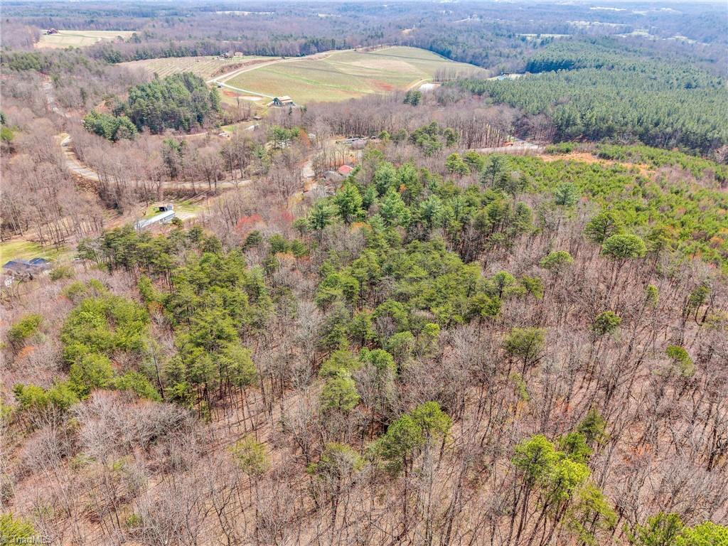 153 Pineway Lane Thurmond, NC 28683 - Photo 6 of 12