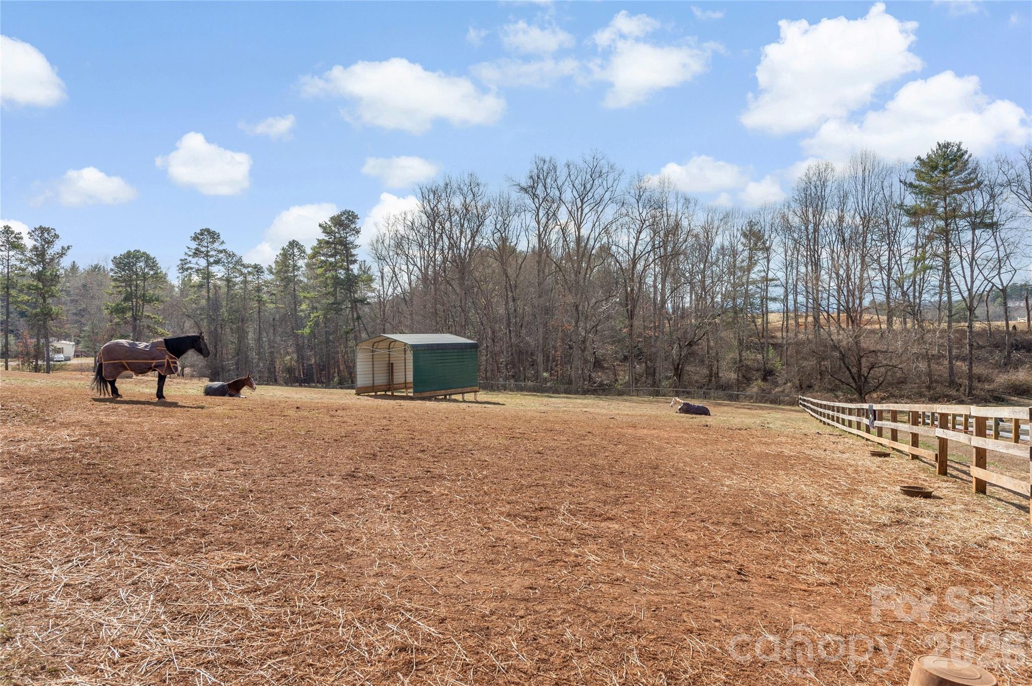 1552 Bear Creek Road Leicester, NC 28748 - Photo 35 of 48