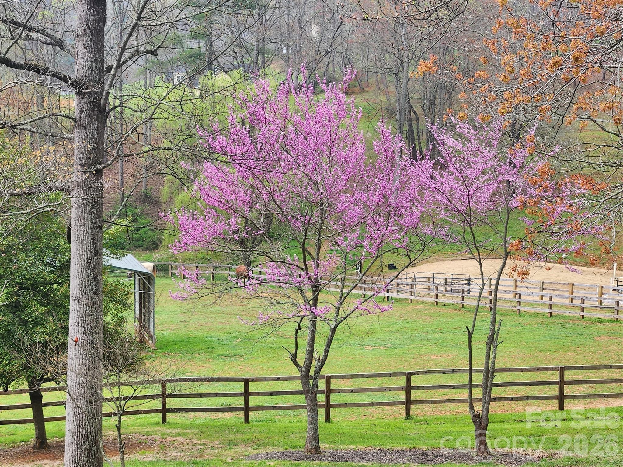 1552 Bear Creek Road Leicester, NC 28748 - Photo 42 of 48