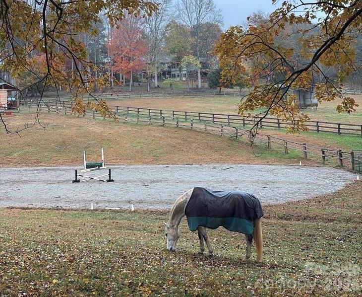 1552 Bear Creek Road Leicester, NC 28748 - Photo 43 of 48