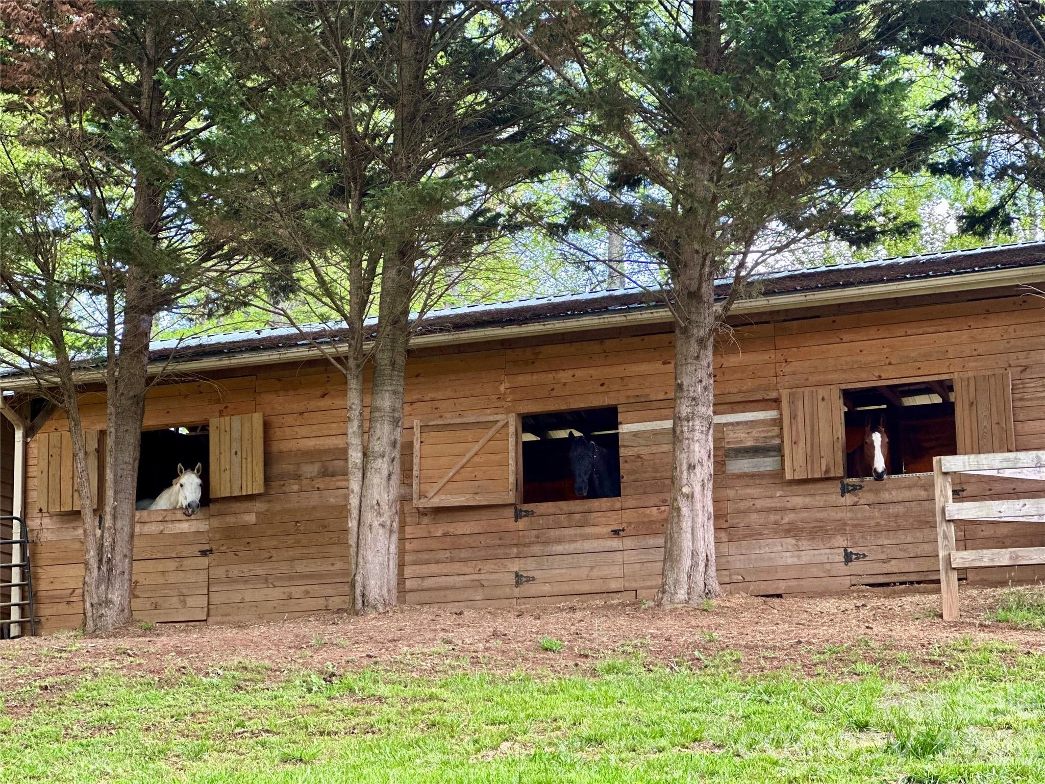 1552 Bear Creek Road Leicester, NC 28748 - Photo 45 of 48