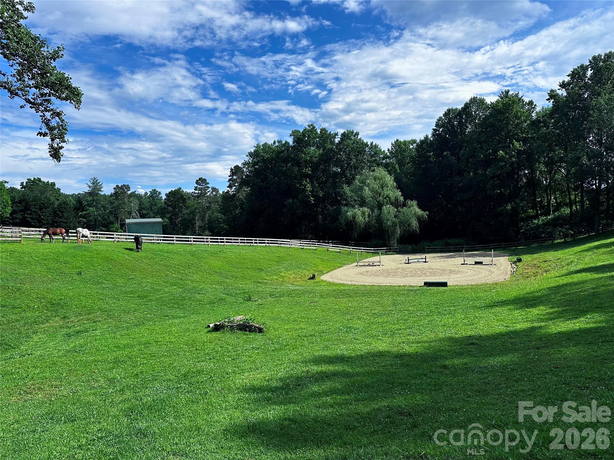 1552 Bear Creek Road Leicester, NC 28748 - Photo 46 of 48