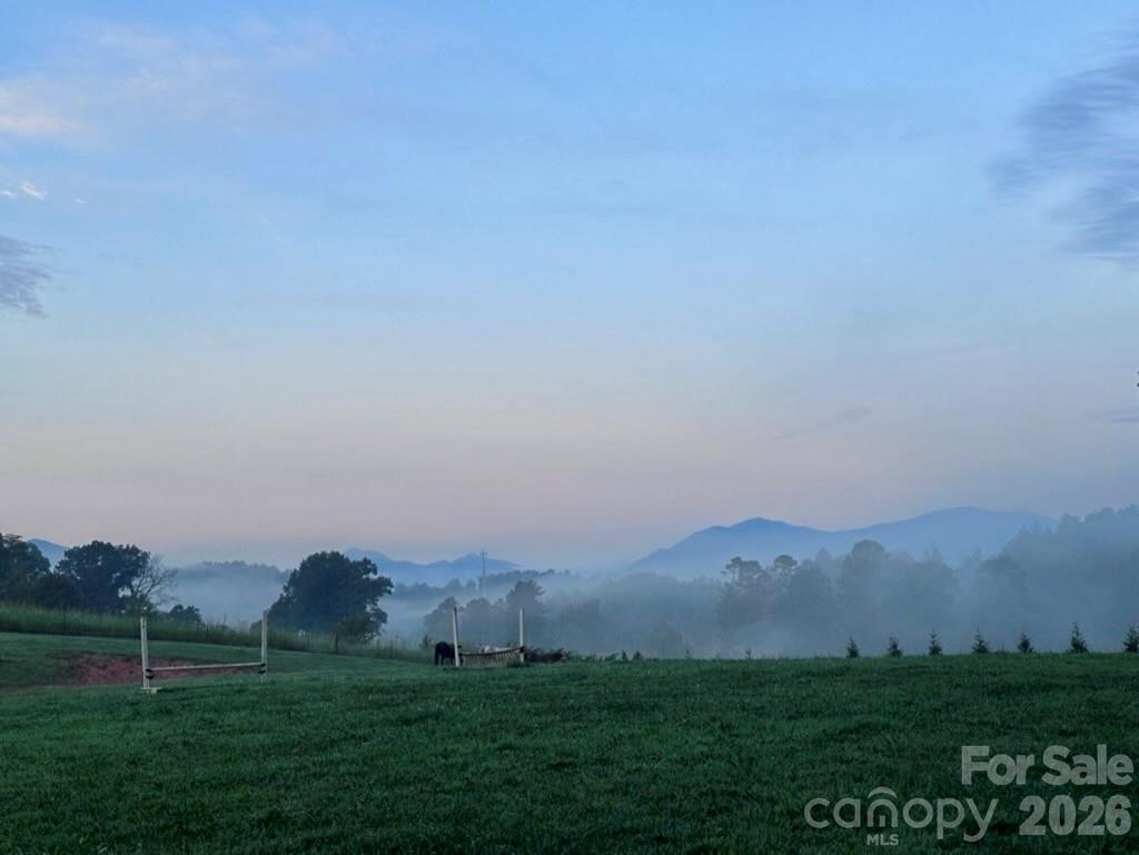 1552 Bear Creek Road Leicester, NC 28748 - Photo 47 of 48