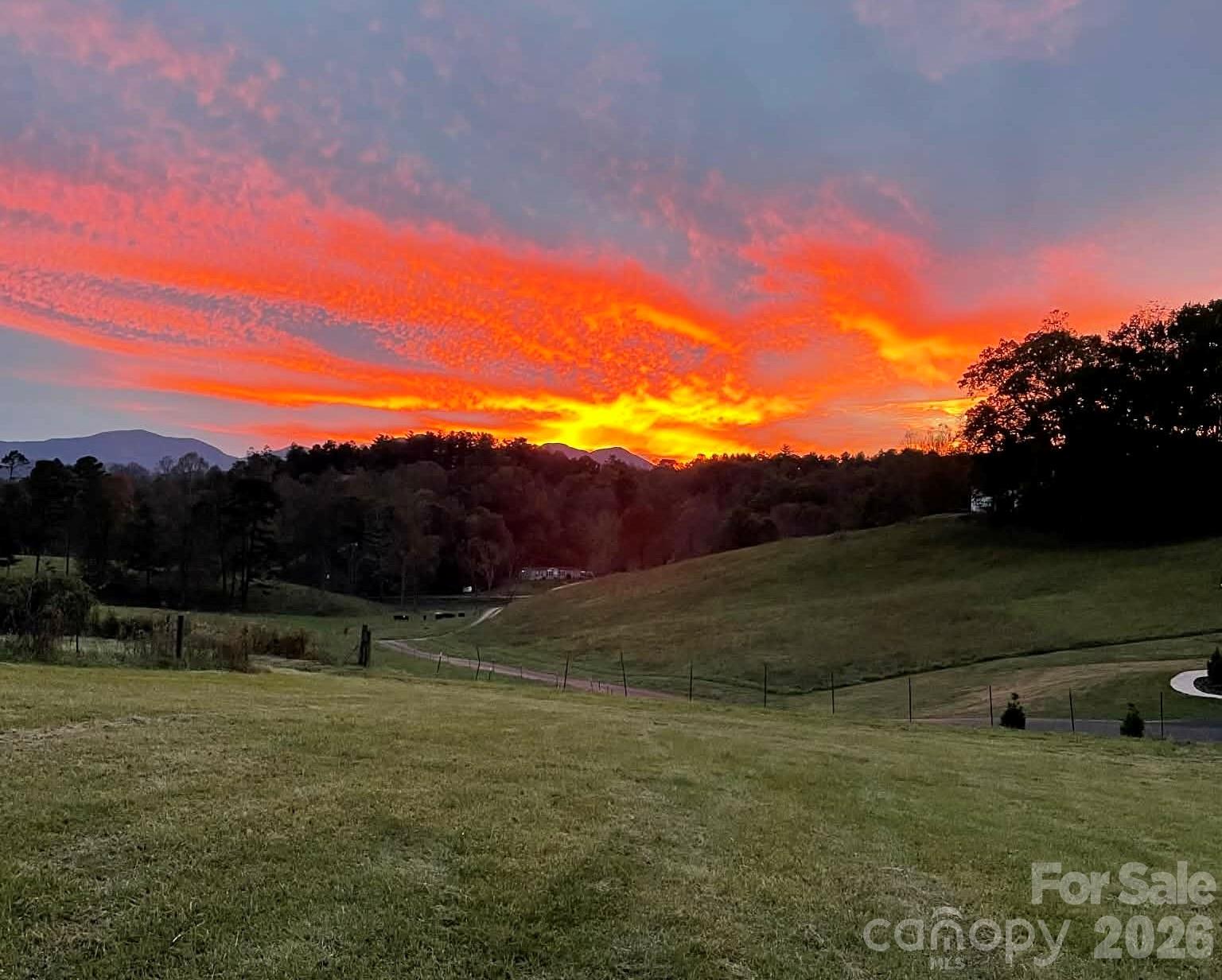 1552 Bear Creek Road Leicester, NC 28748 - Photo 48 of 48