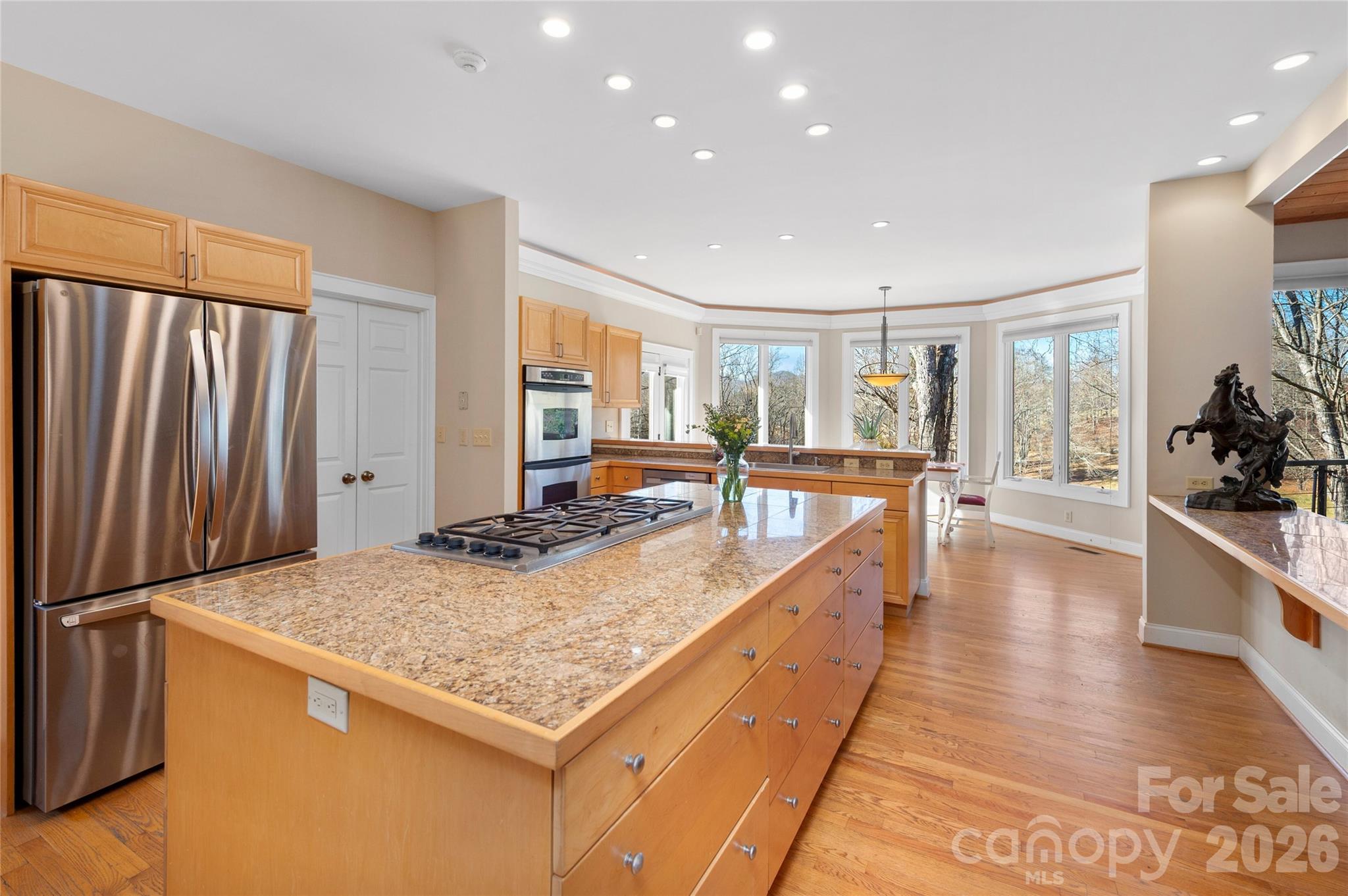 1552 Bear Creek Road Leicester, NC 28748 - Photo 9 of 48