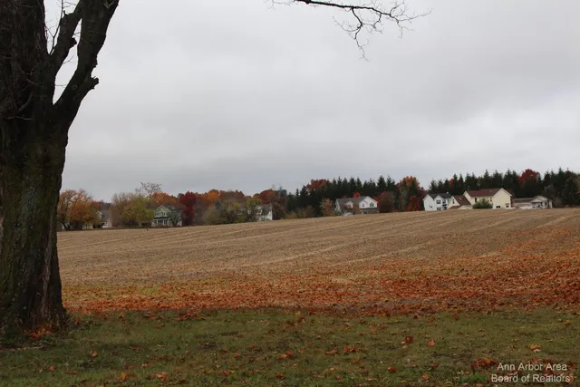 $249,900 | 0 East Michigan Avenue, Grass Lake, MI 49240