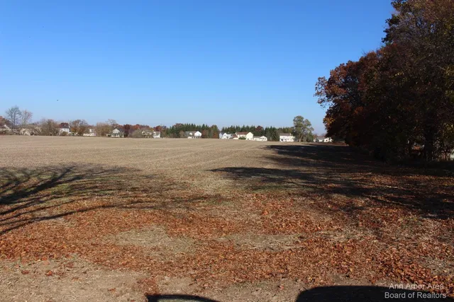 $249,900 | 0 East Michigan Avenue, Grass Lake, MI 49240