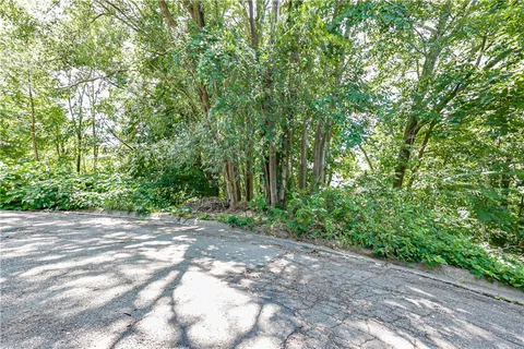 a view of a field with trees in the background