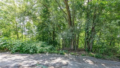 a view of outdoor space and trees all around