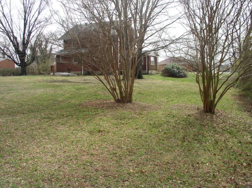 3623 Cove Road Roanoke, VA 24017 - Photo 11 of 41 Yard