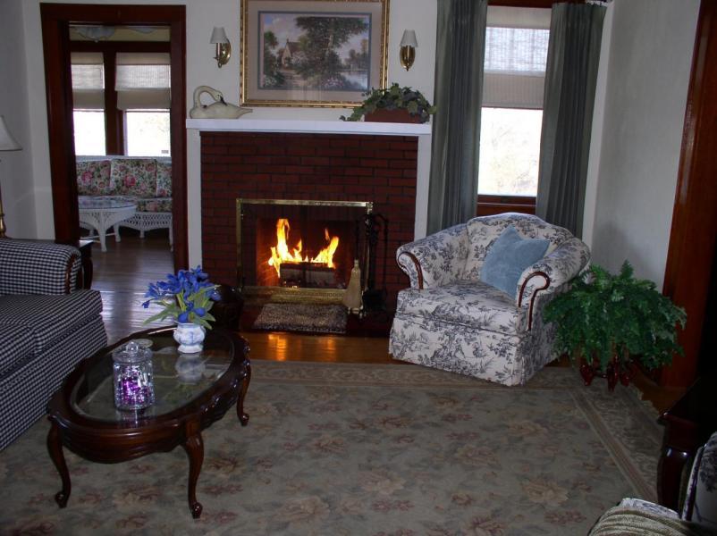 3623 Cove Road Roanoke, VA 24017 - Photo 20 of 41 Fireplace
