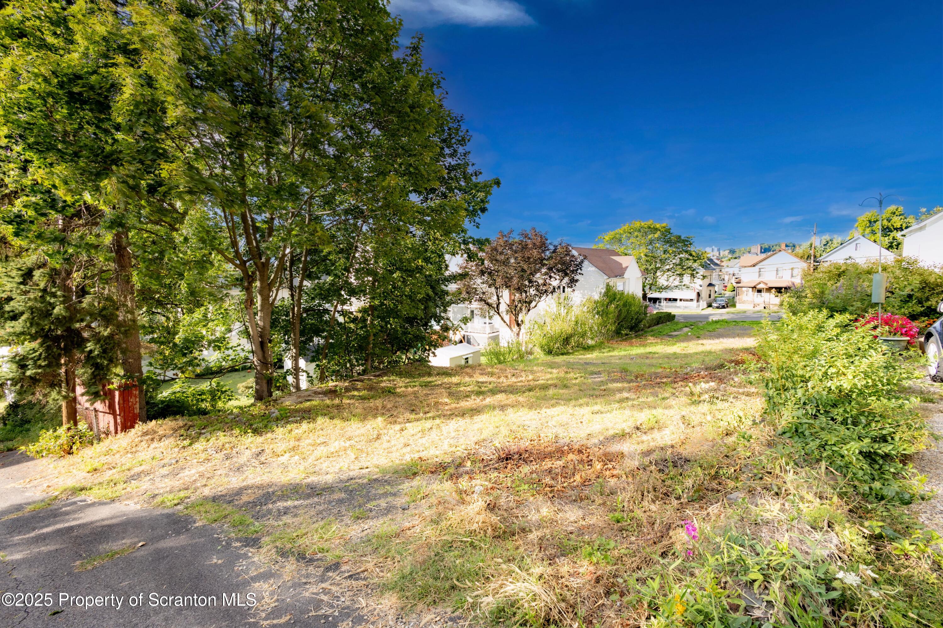 728 Alder Street Scranton, PA 18505 - Photo 5 of 13 a view of a yard with a trees