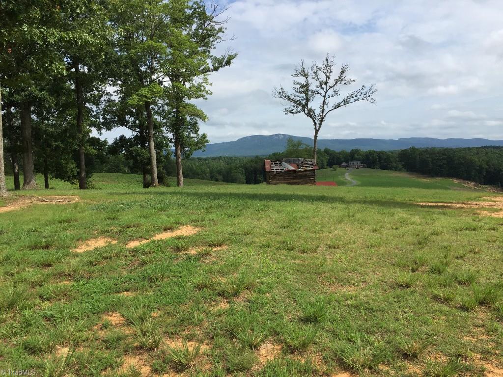 1197 Gib Ferguson Road King, NC 27021 - Photo 4 of 22 Views from Property