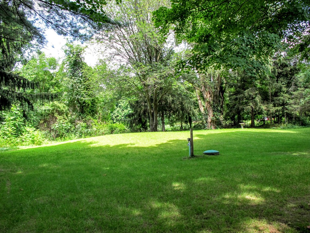 56 Plumtree Road Sunderland, MA 01375 - Photo 5 of 29 a view of green field with trees