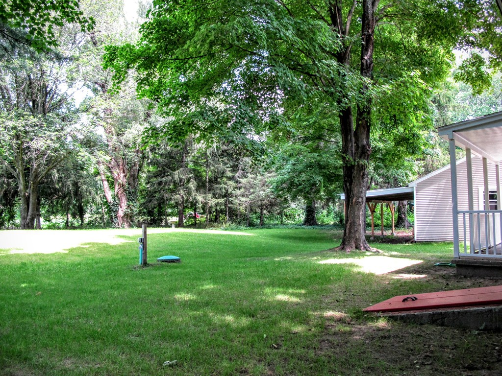 56 Plumtree Road Sunderland, MA 01375 - Photo 6 of 29 a view of a backyard with large trees