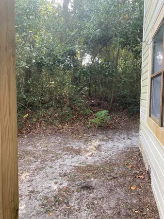 a view of backyard with tree