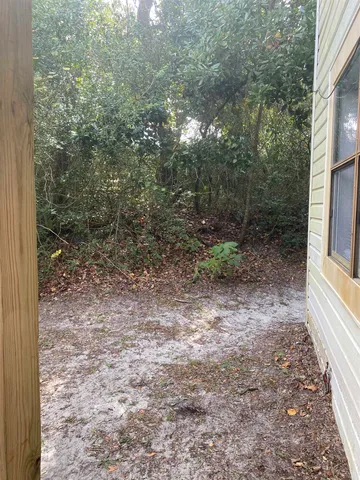 a view of backyard with tree
