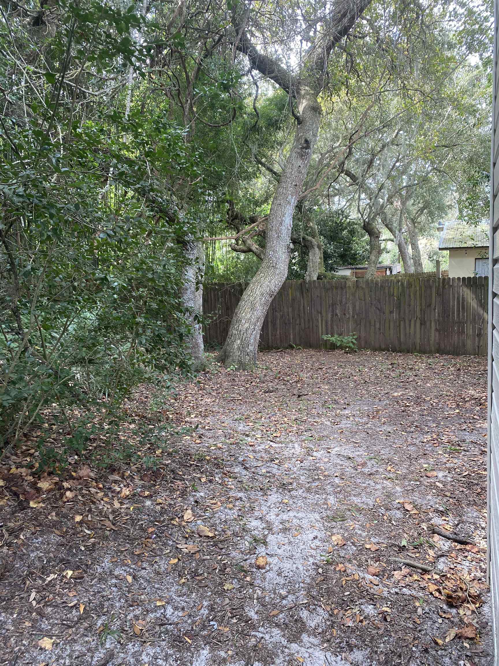 35 Atlantic Oaks Circle, Unit A St. Augustine Beach, FL 32080 - Photo 17 of 21 a view of backyard with tree