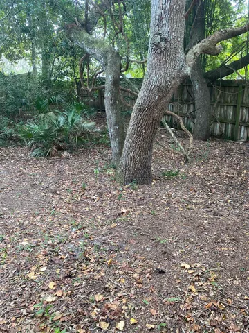 a backyard of a house