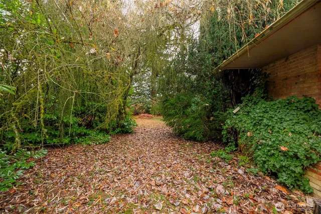 a view of backyard with green space