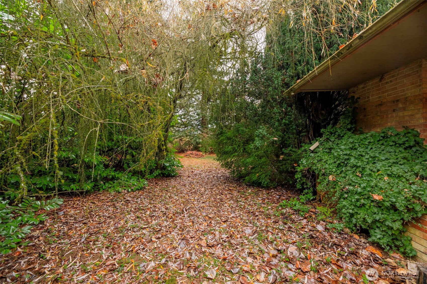 23827 Sofie Road Monroe, WA 98272 - Photo 19 of 35 a view of a pathway both side of yard