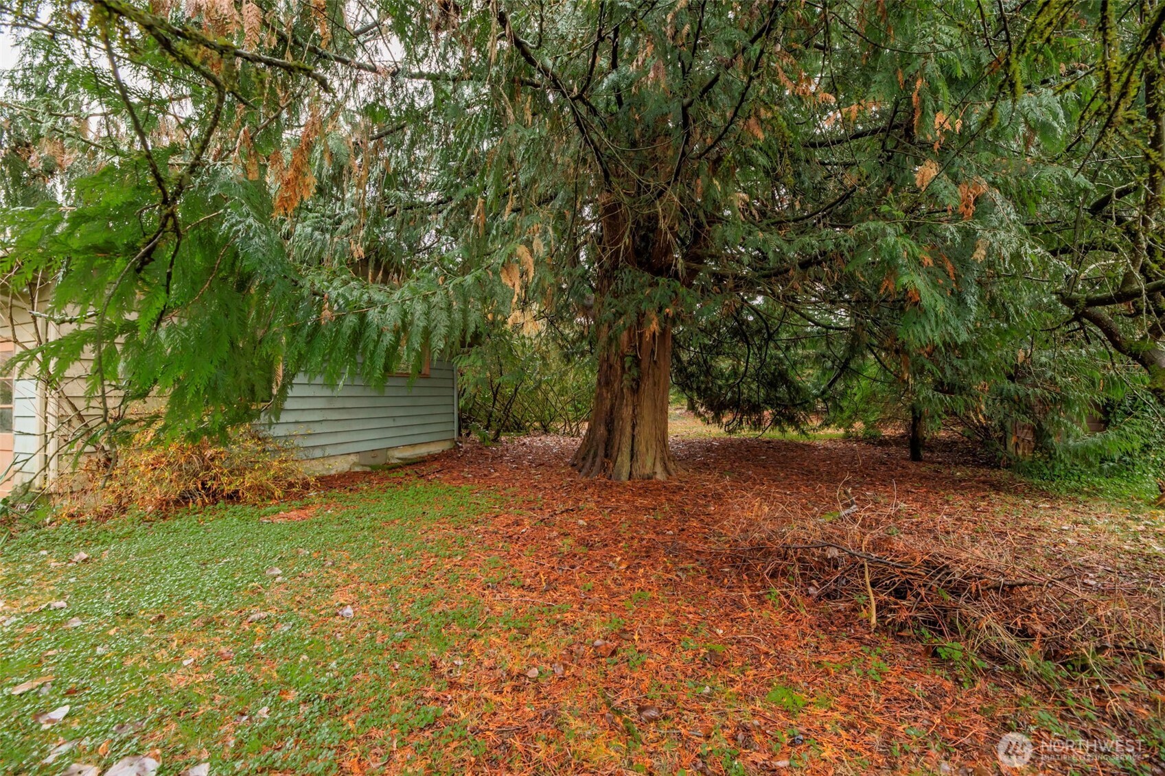 23827 Sofie Road Monroe, WA 98272 - Photo 20 of 35 a view of backyard with green space