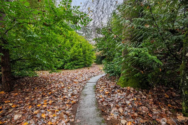 a big yard with lots of green space