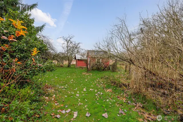 a view of backyard with green space