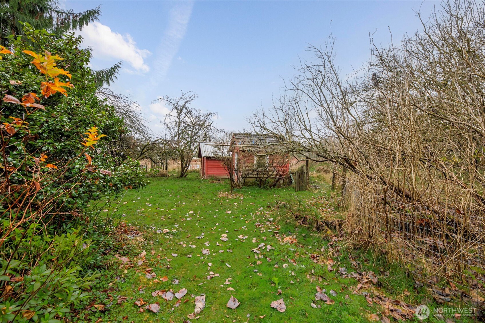 23827 Sofie Road Monroe, WA 98272 - Photo 21 of 35 a view of a backyard with potted plants and large trees