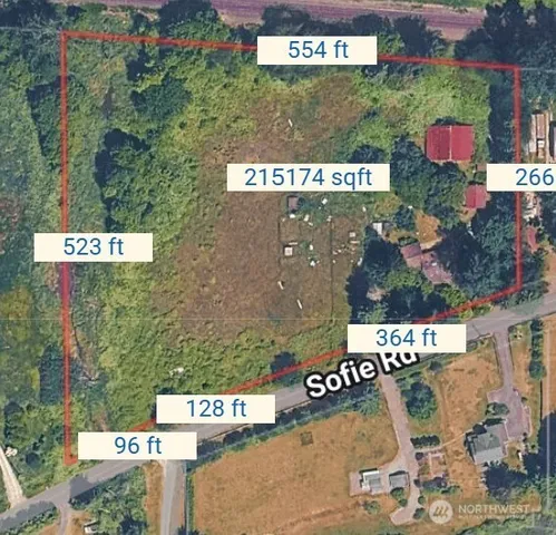 a view of a yard with plants and large trees