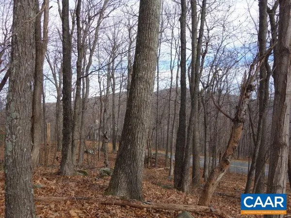 $79,000 | 91 Shamokin Springs Trail, Roseland, VA 22967