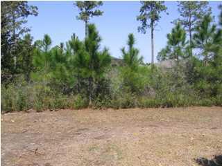 7346 Treasure Street Navarre, FL 32566 - Photo 14 of 14 The property actually goes back to the neighbor's fence (on right side). Some of back yard was left natural.