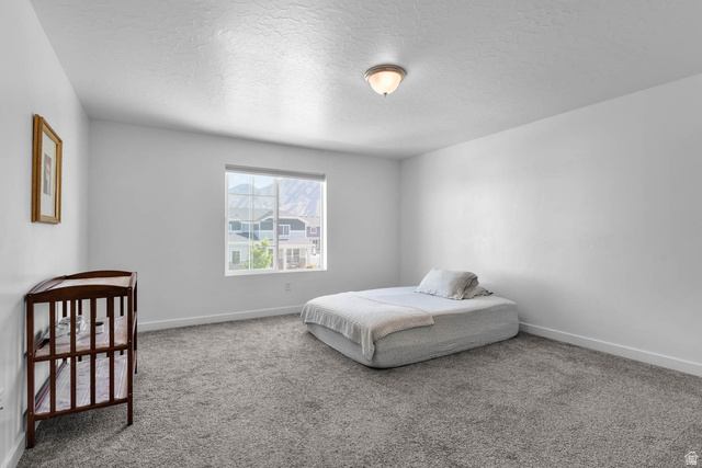 703 West 950 S Street Springville, UT 84663 - Photo 13 of 27