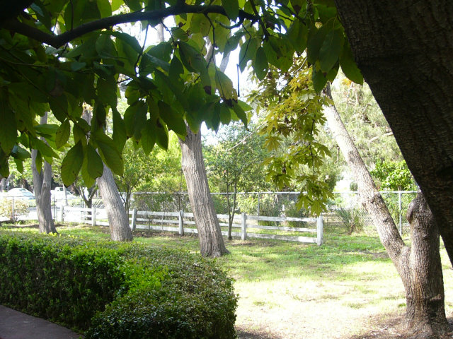 192 East Middlefield Road Mountain View, CA 94043 - Photo 2 of 7 Gallery Image 2