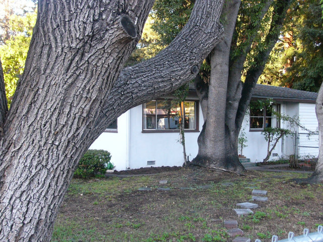 192 East Middlefield Road Mountain View, CA 94043 - Photo 3 of 7 Gallery Image 3