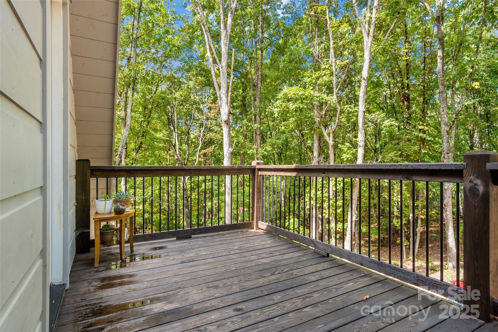 25 Briar Ridge Lane Nebo, NC 28761 - Photo 27 of 44