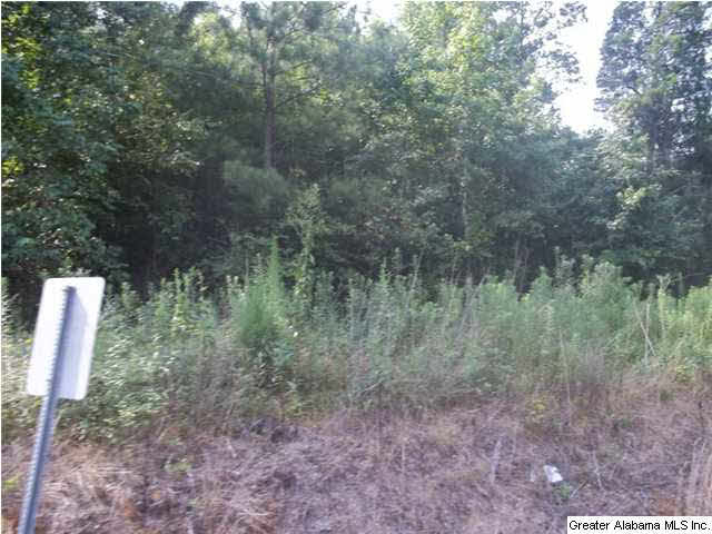 0 Mudd Street, Unit 4 48 AC Ohatchee, AL 36271 - Photo 11 of 12