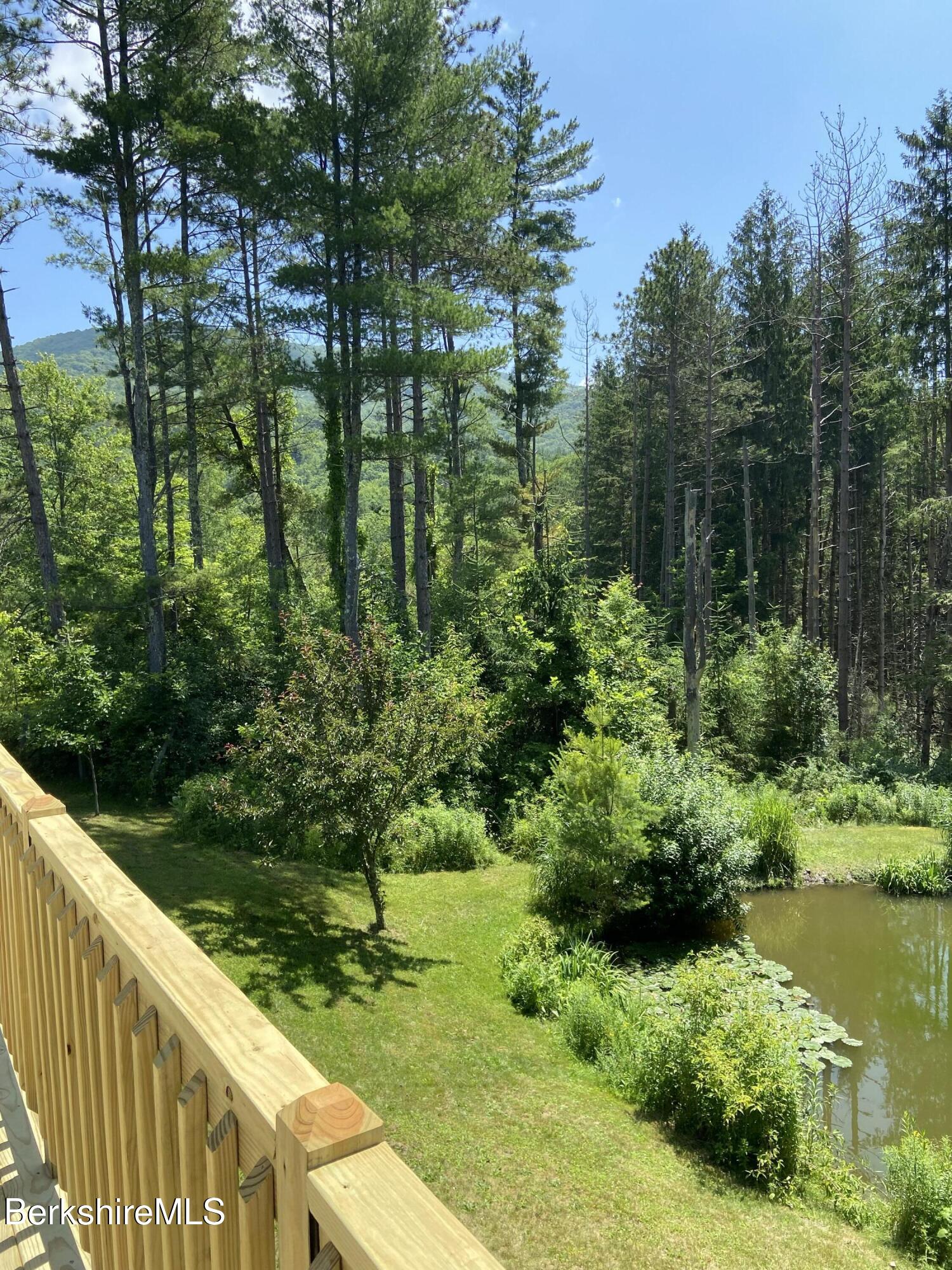 201 Weaver Dam Road Petersburg, NY 12138 - Photo 23 of 32 Mountain and pond views from rear deck