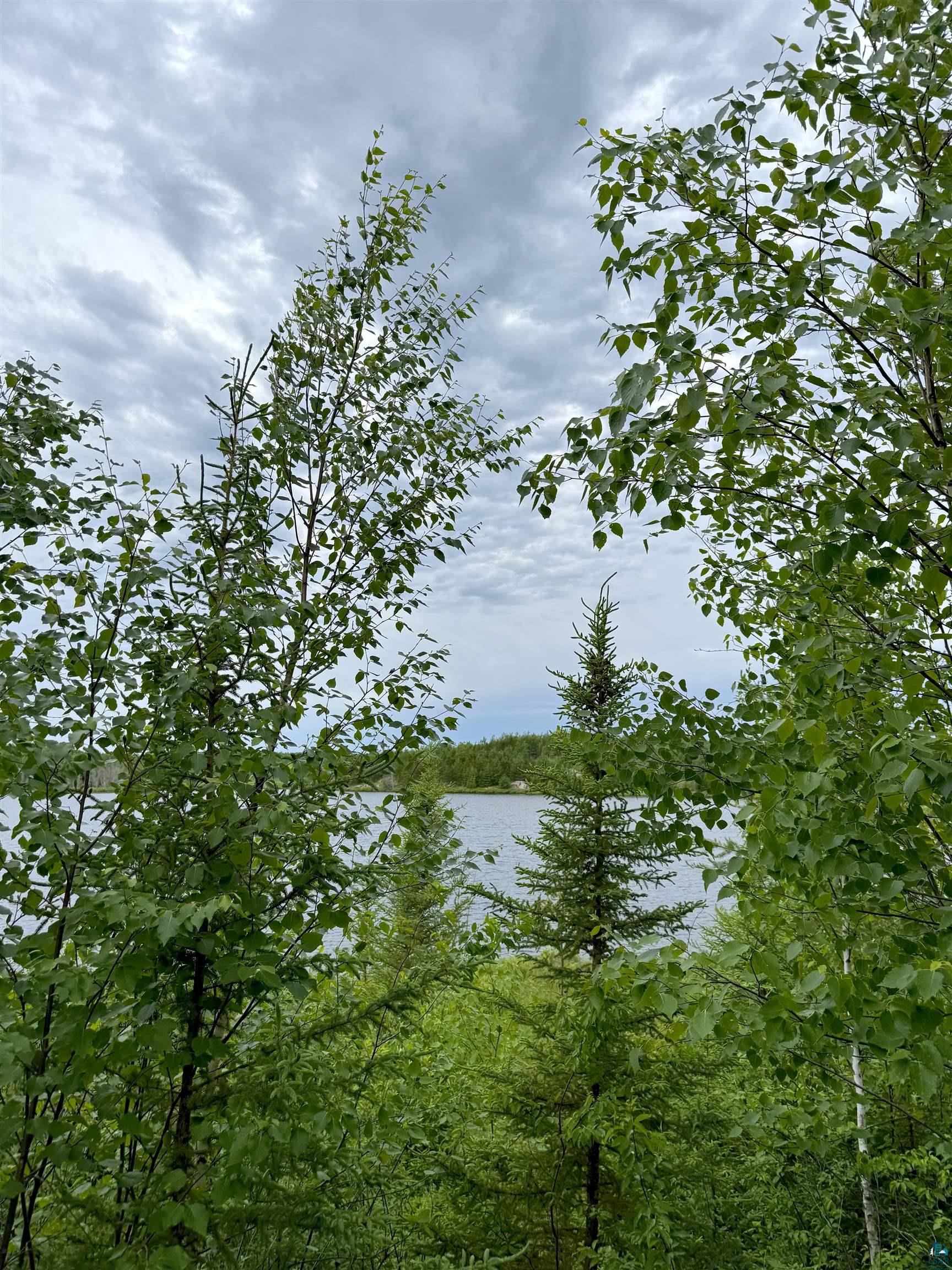 Tbd Onagon Lake Road Grand Marais, MN 55604 - Photo 13 of 14