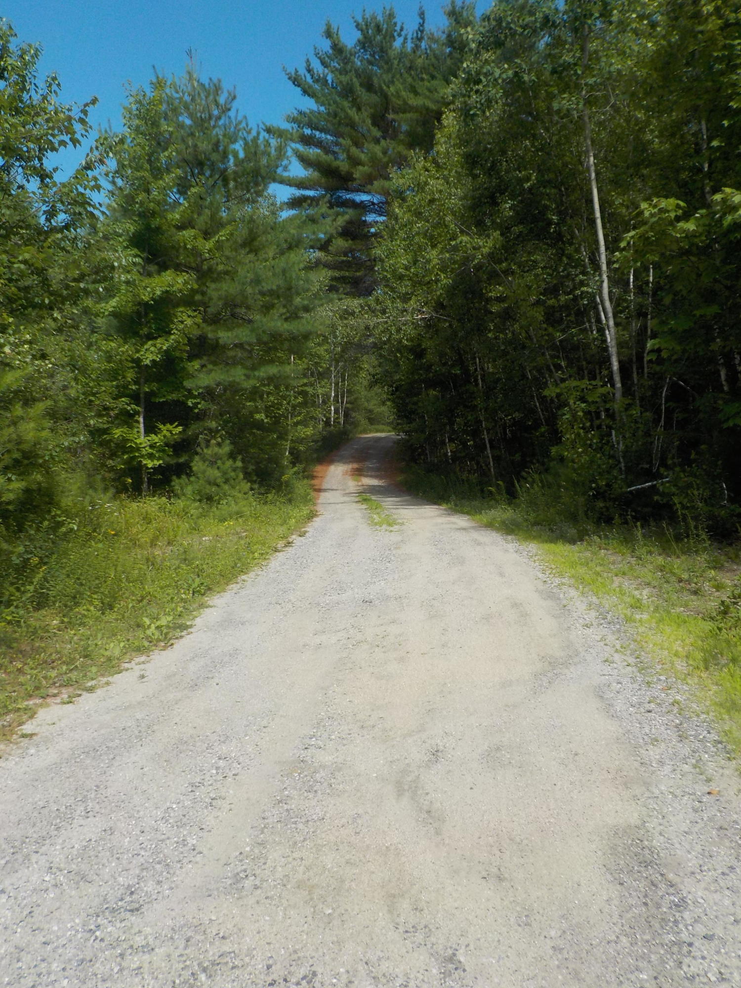 89 Gerry Road Otisfield, ME 04270 - Photo 12 of 14 road 1