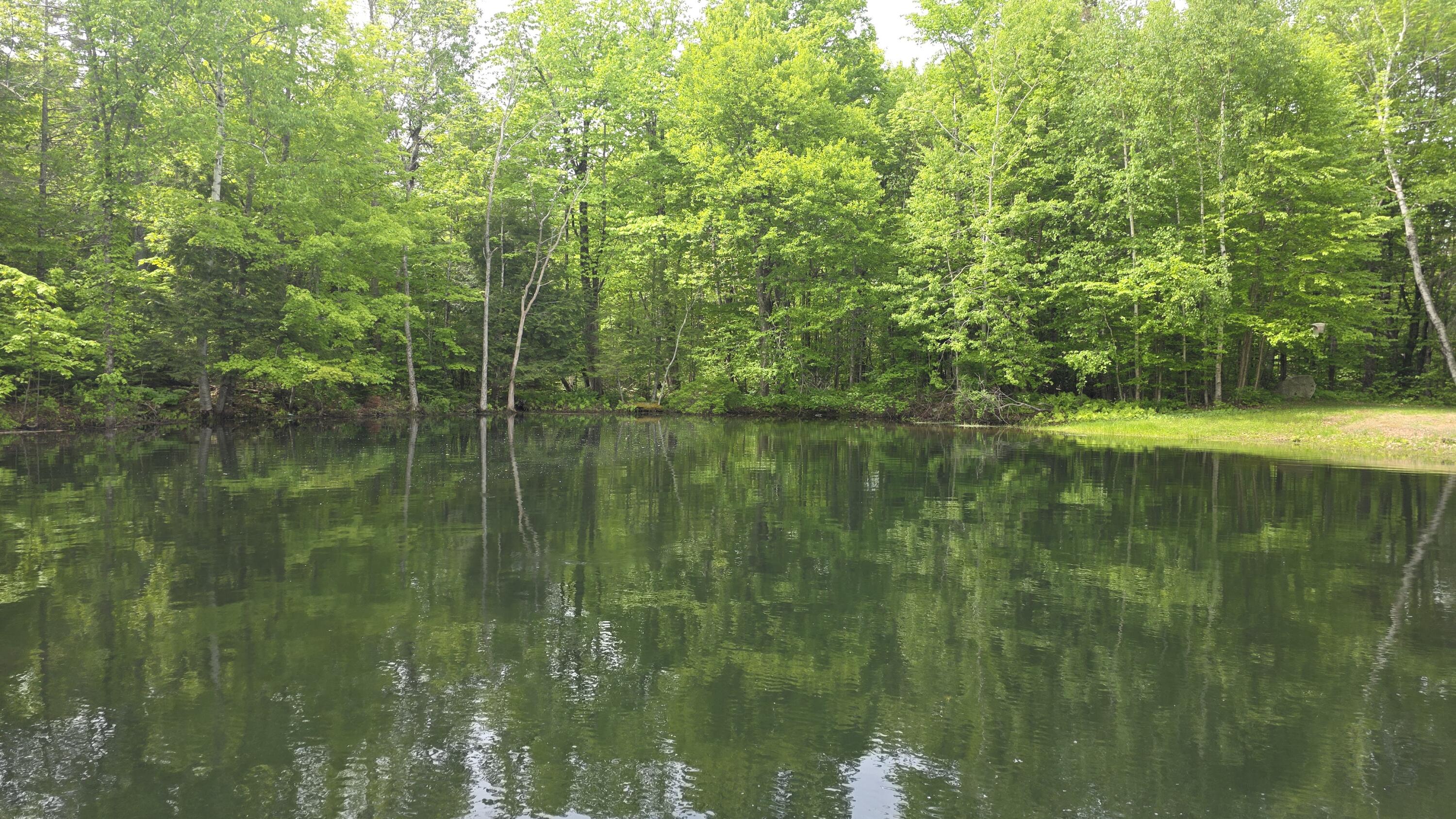 Lot 17 East Thorndike Road Thorndike, ME 04986 - Photo 29 of 31 Pond