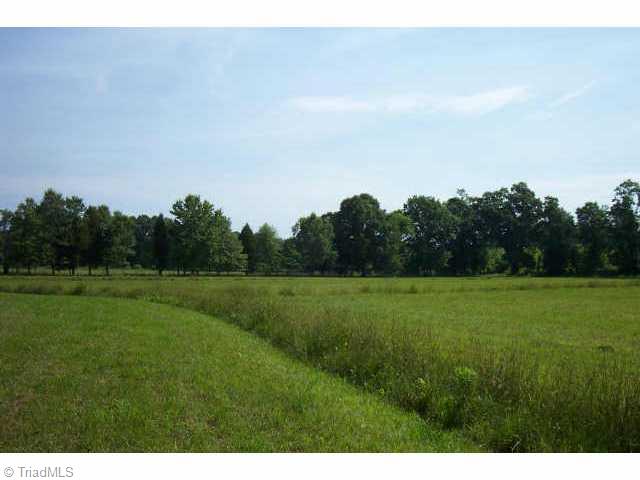 0 Burch Road Walnut Cove, NC 27052 - Photo 3 of 3 Other.