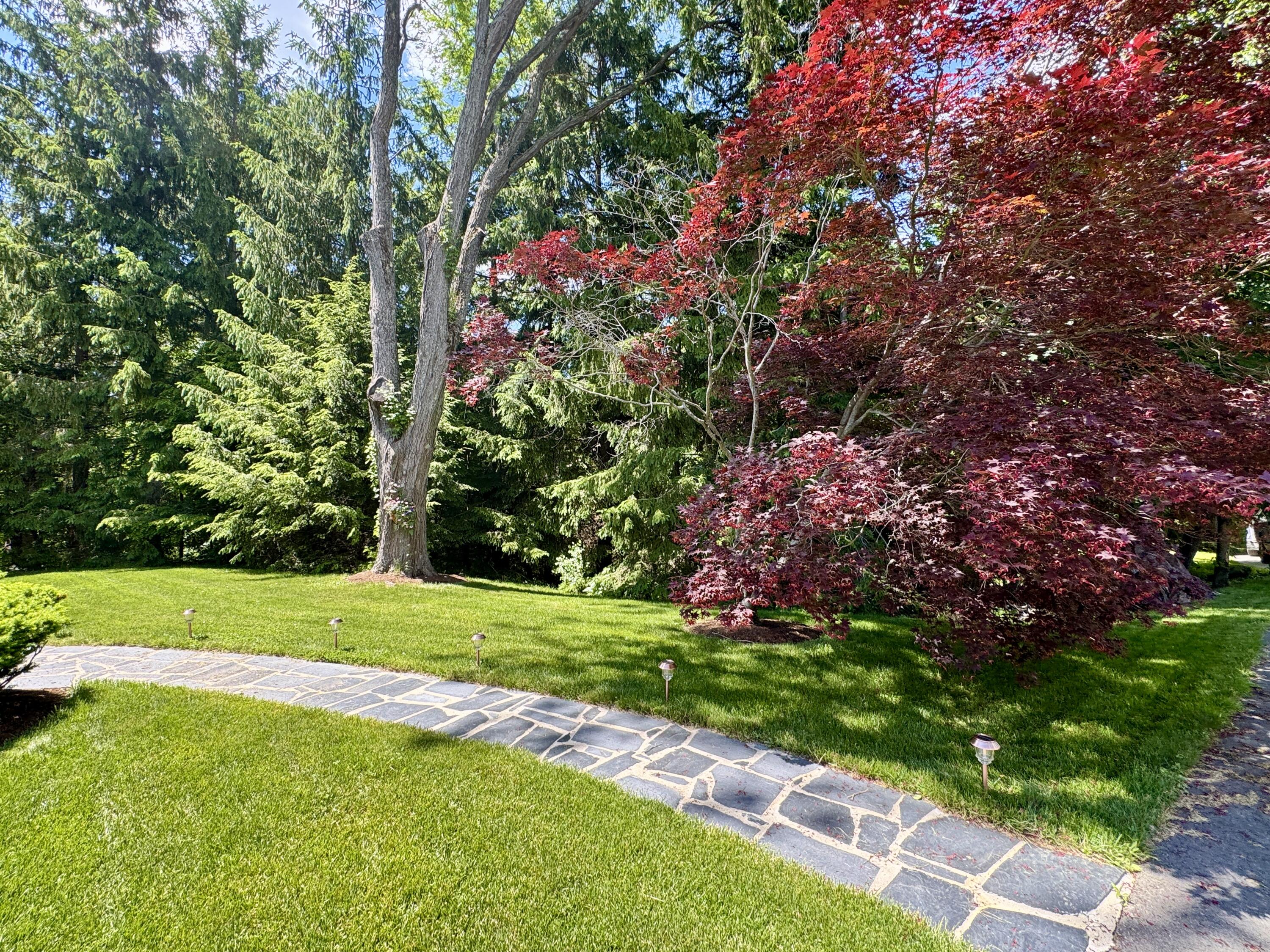 281 Clyde Road Bangor, ME 04401 - Photo 90 of 108 IMG_9060
