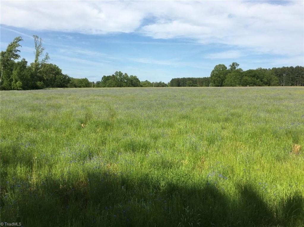 0 Spillman Road Mocksville, NC 27028 - Photo 1 of 1 Spillman