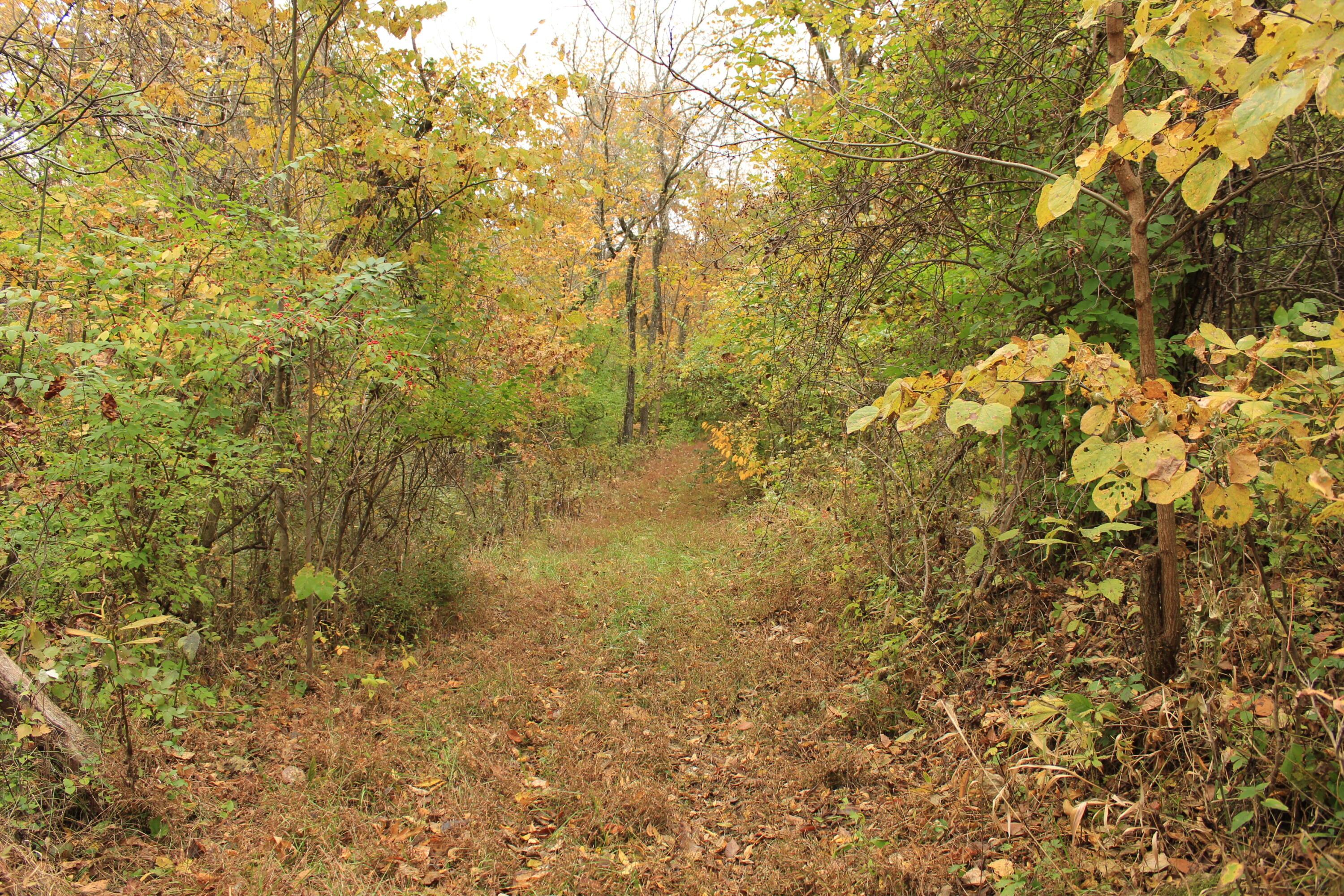 1316 Buttermilk Run Road Manchester, OH 45144 - Photo 89 of 107 90