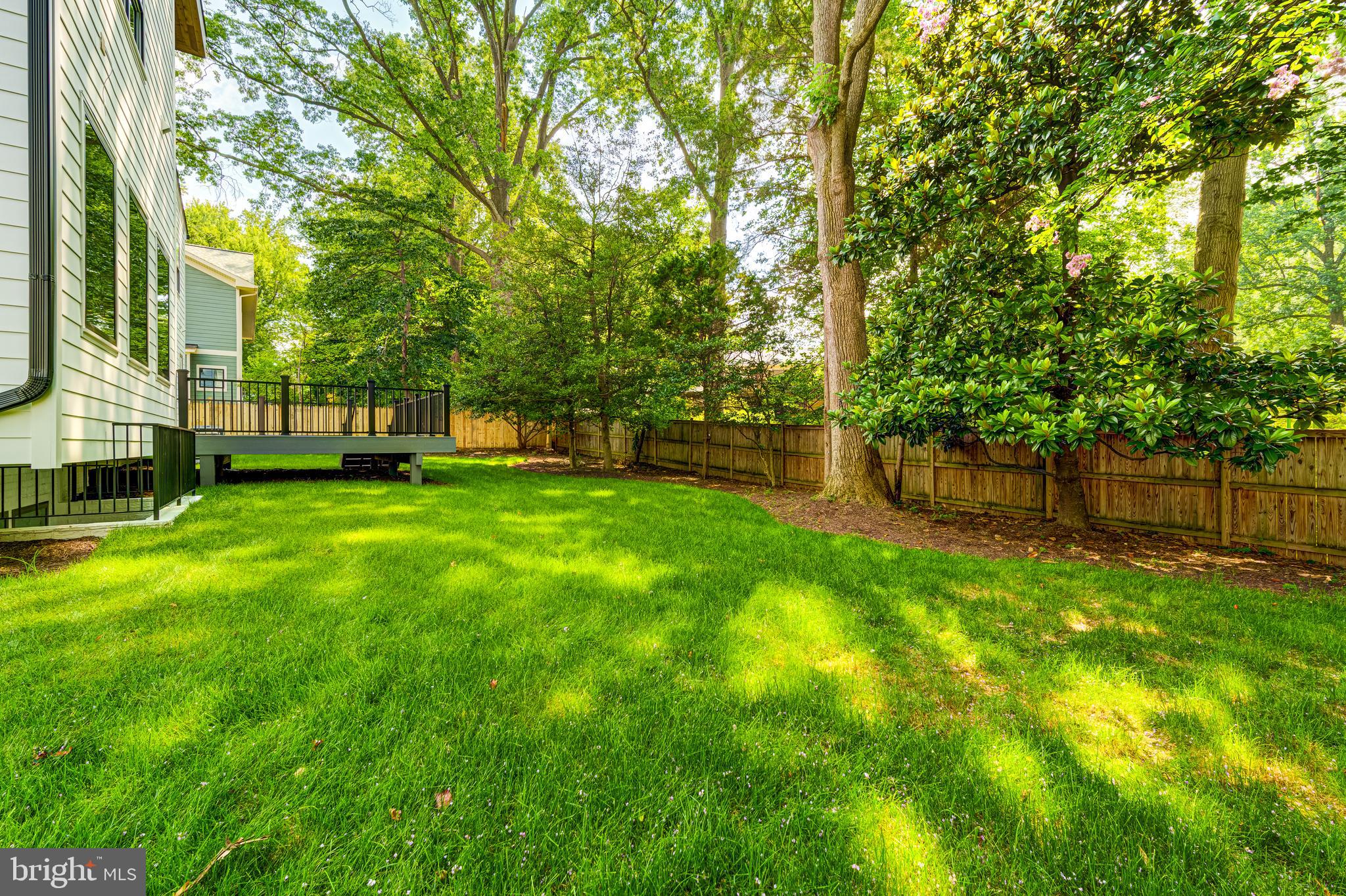 506 Kingsley Road Southwest Vienna, VA 22180 - Photo 143 of 150 a view of a yard with a large trees