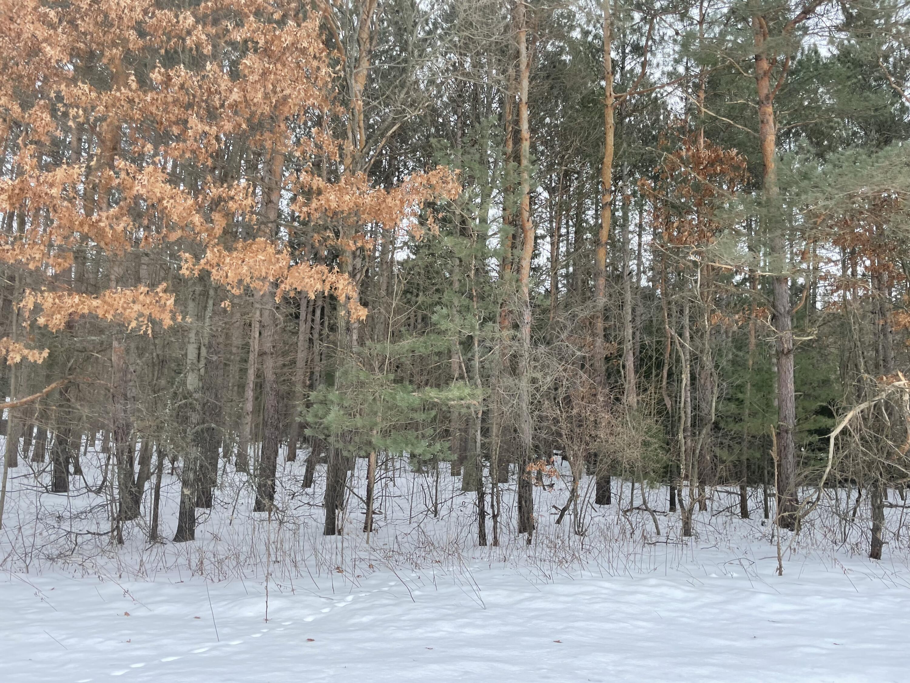 V/l Garbow Road Howard City, MI 49329 - Photo 1 of 1 IMG_2837