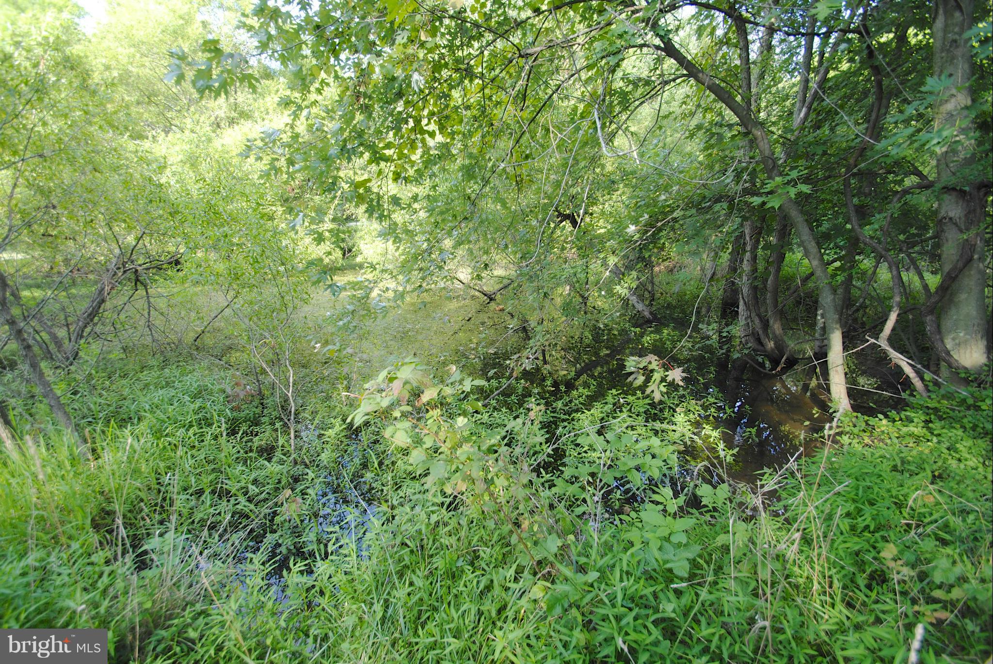 Perry Hall Road Perry Hall, MD 21128 - Photo 11 of 28 a view of a lush green forest