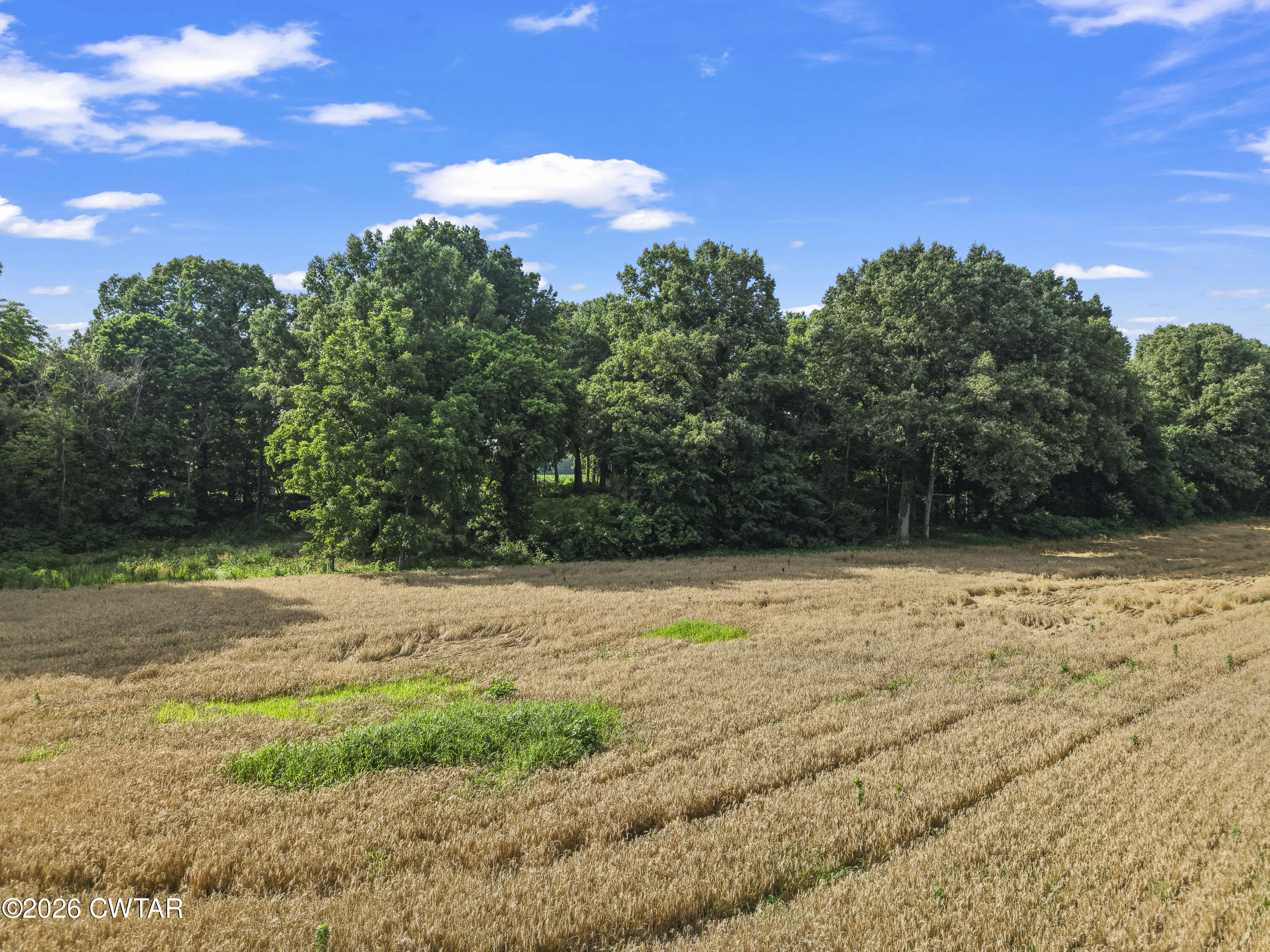 0 Old Jackson Road Gadsden, TN 38337 - Photo 11 of 23 DJI_20260608170058_0619_D